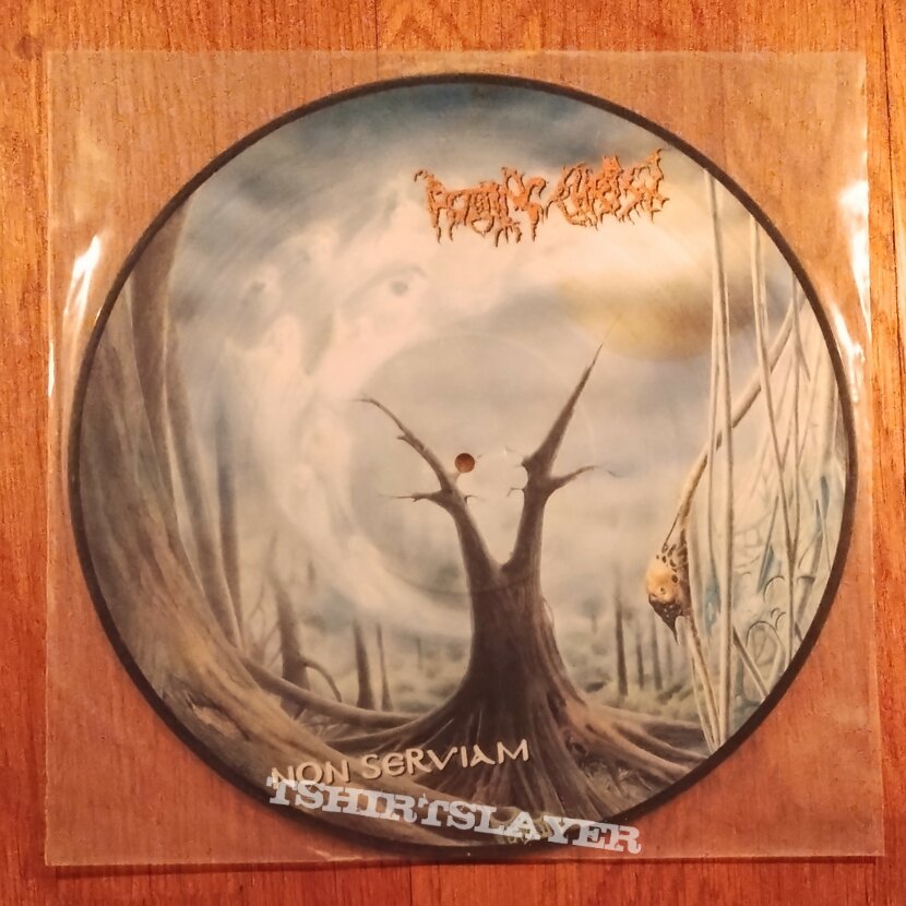 Rotting Christ - Non Serviam picture disc