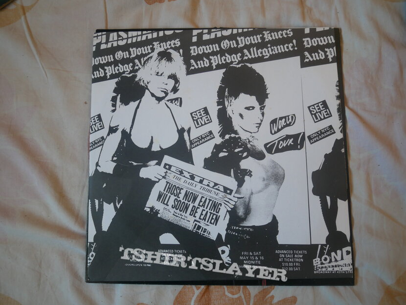 Plasmatics Maggots: The Record