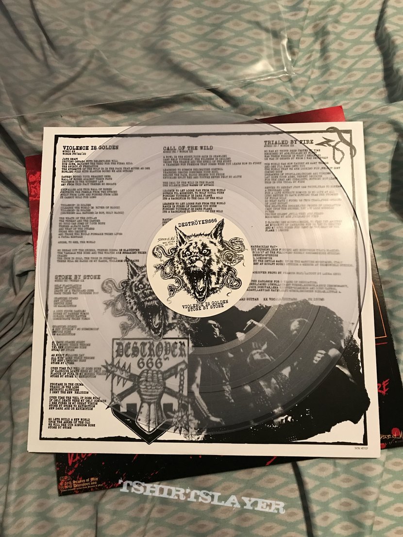 Deströyer 666 Destroyer 666 - Call of the Wild clear LP