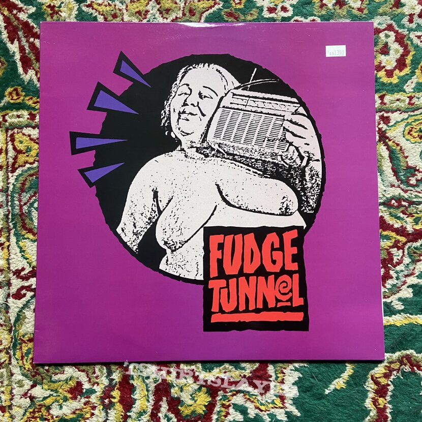 Fudge Tunnel Fudgecake Vinyl Record