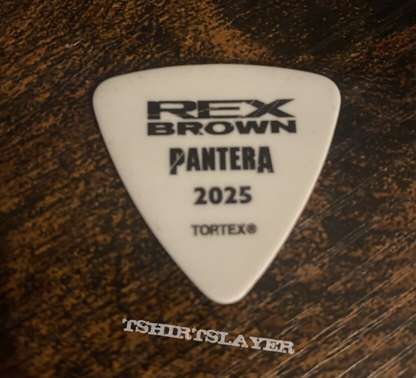Guitar pick Pantera