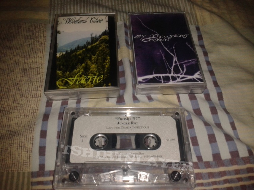 Ash Borer Tapes