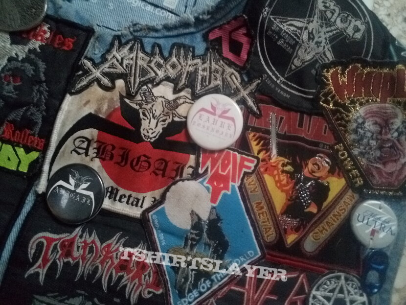 Abigail A New Beginning