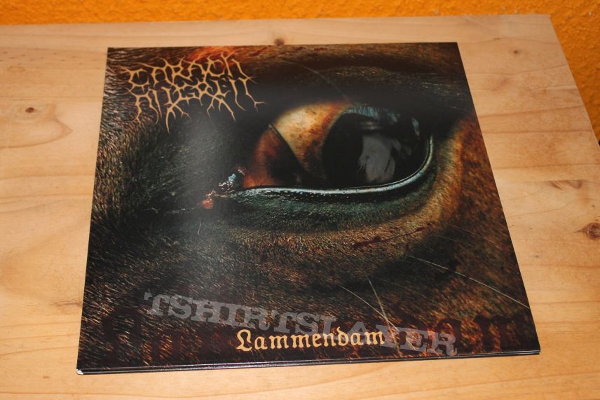 Carach Angren - Lammendam LP