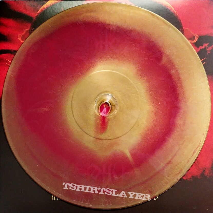 Nile - Annihilation of the Wicked LP [Red/Gold] [etched]