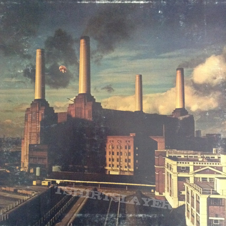 Pink Floyd - Animals