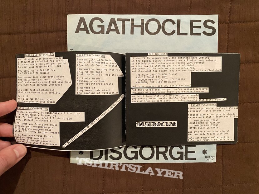 Agathocles / Disgorge (Belgium) - Split