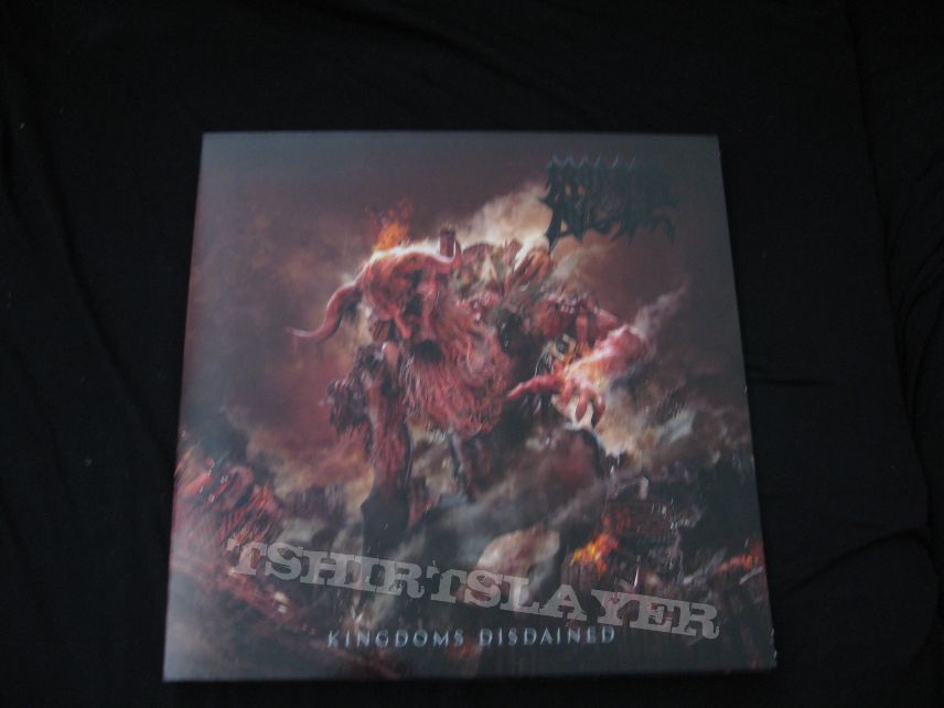 Morbid Angel &quot;Kingdoms Disdained&quot; vinyl