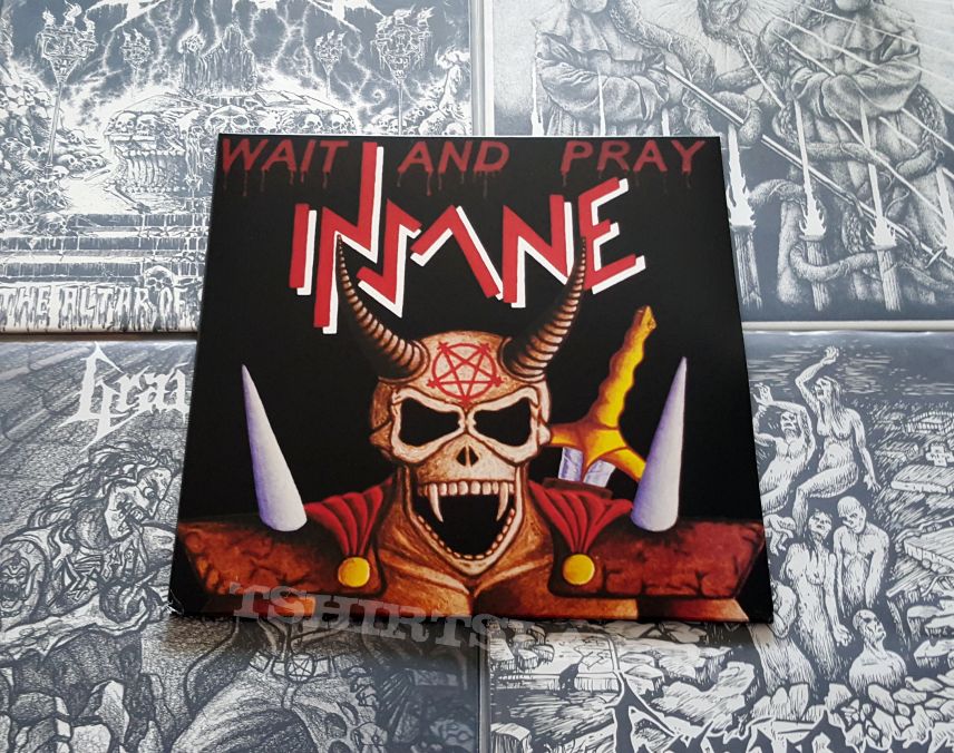 Insane - Wait And Pray ( Vinyl )