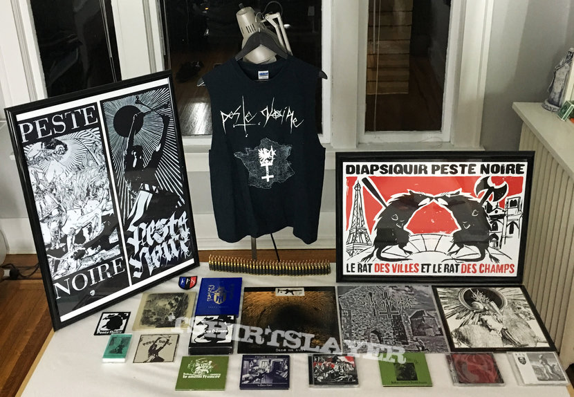 Diapsiquir Peste Noire Rats Des Villes Vs Rats Des Champs